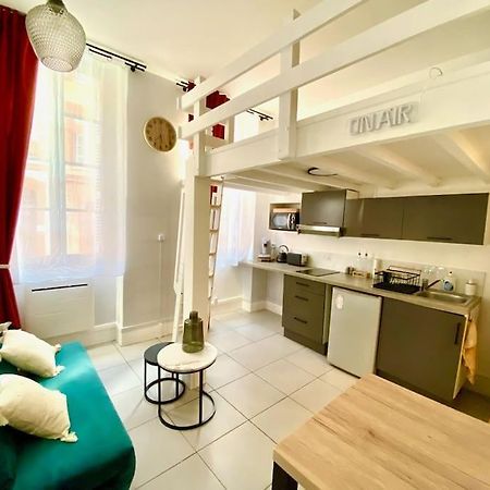 Studio Cosy Jardin Des Plantes Apartment Toulouse Exterior photo